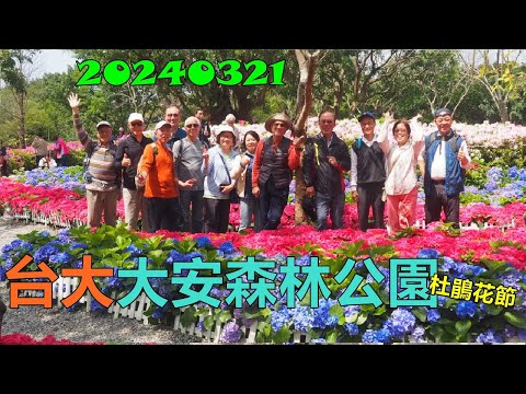 20240321 台大校園大安森林公園杜鵑花節之旅