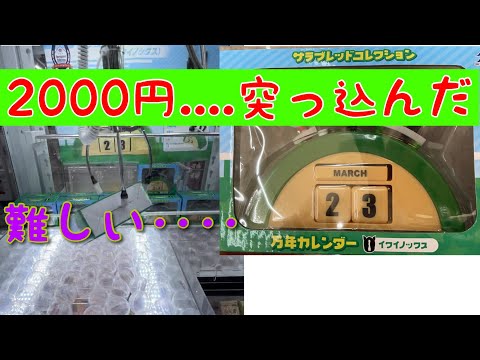 【レジャラン】素人のクレーンゲーム動画、難しい、#クレーンゲーム #クレーンゲーム景品 #ufoキャッチャー #ufoキャッチャー動画 #ゲーセン#ゲームセンター#レジャーランド