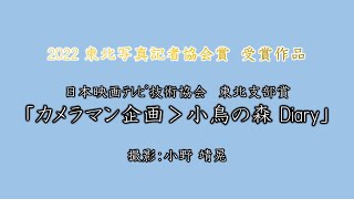 【2022 東北写真記者協会賞　受賞作品】日本映画ﾃﾚﾋﾞ技術協会　東北支部賞「カメラマン企画＞小鳥の森 Diary」