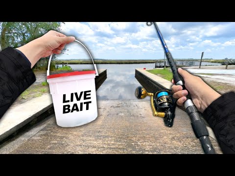 Fishing the BOAT RAMP! Catch and Cook for my CRAZY NEIGHBOR