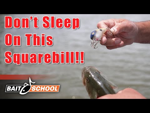 This Squarebill Crankbait Will Change Your Bass Fishing Forever - Bait School