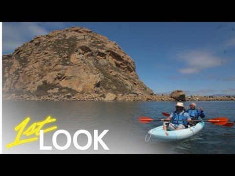 Johnny Bananas and Papa Bananas Go Kayaking in Morro Bay, CA and "Sea" Rare Wildlife | 1st Look TV