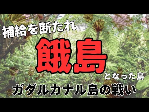 敵は米軍ではなく飢えと病気だった？「ガダルカナル島の戦い」