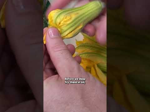 Crispy & Delicious Fried Flowers #growyourownfood #fullvideobelow