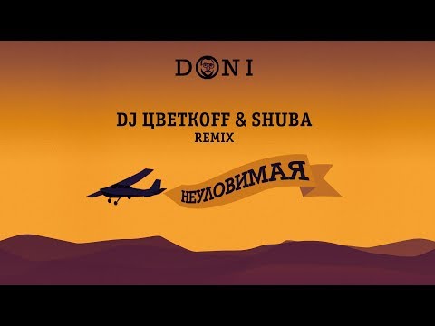 Doni - Неуловимая (DJ ЦветкоFF & Shuba Remix)