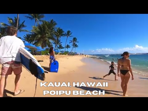 🏝️🦭🐢🏄‍♂️Poipu Beach: Kauai,Hawaii! Seals! Giant Turtles! Boogie Boarding!🏄‍♂️🐢🦭🏝️