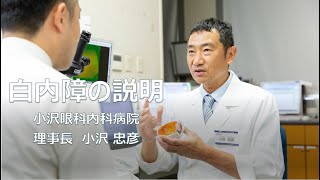 白内障手術　説明　　小沢眼科内科病院 茨城県 水戸市 眼科