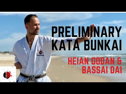 Visualization of Kata Bunkai class. 10-minute clip from a 1hr class.