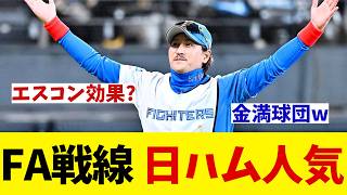 日本ハム　3年連続FA選手獲得！人気球団に成り上がり！！！【野球情報】【2ch 5ch】【なんJ なんG反応】【野球スレ】