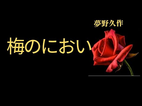 【睡眠導入・睡眠用BGM・睡眠朗読昔話・眠くなる話】梅のにおい　夢野久作特集　 朗読　芳井素直