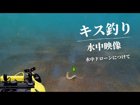 Kiss fishing underwater video I tried shooting with my own device attached to the drone