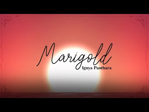 【Cover Español】 Marigold | Ignya Panthara