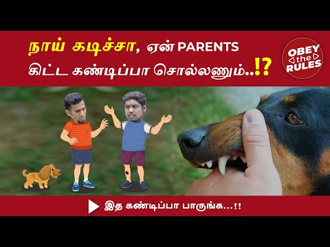 நாய் கடிச்சா ,  ஏன் PARENTS கிட்ட கண்டிப்பா சொல்லணும் ...!? | #childrenawareness #dog #otr