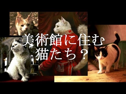 【60匹以上！】美術館に住む猫たち/Cats of the Hermitage Museum【猫祭り！】