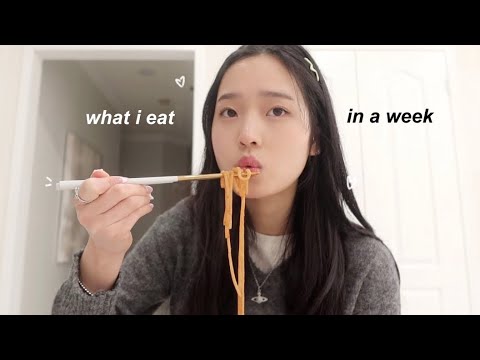 what i eat in a school week (korean food + realistic)