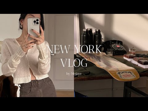 New York vlog 🗽Slow Morning (with. LP player) | Holiday Shop | Thanksgiving | Roast Chicken[Eng sub]