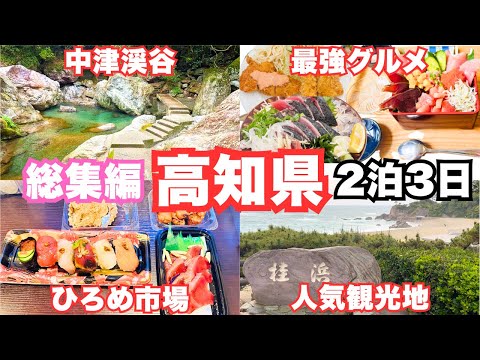 【高知旅行】人生初の高知県を観光！2泊3日の高知ひとり旅が最高すぎた