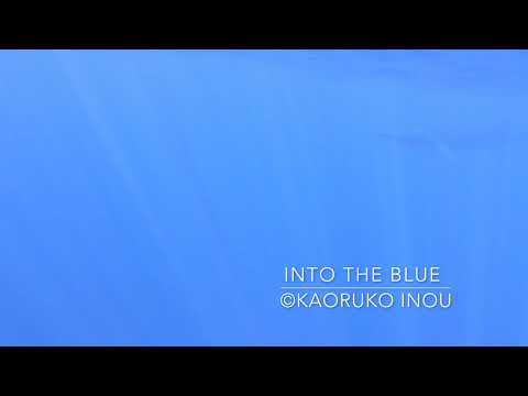 ニタリクジラ2019inスリランカ