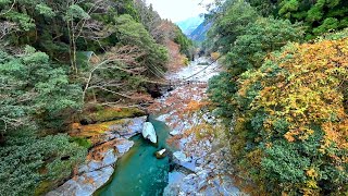 日本三大奇橋 - 四國德島祖谷葛藤橋 Iya Kazura Bridge, Tokushima Shikoku (Japan)