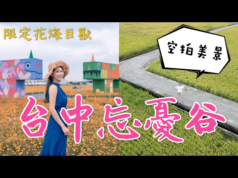 跟著丁小羽去台中季節限定的拍照景點，台中龍井賞波斯菊花海以及台中外埔的忘憂谷！