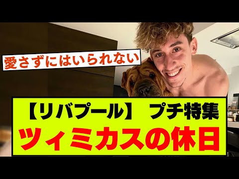 【リバプール小ネタ】遠藤航同僚、ツィミカスのエピソード【ピッチ外の一面】