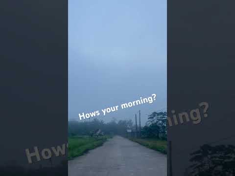 FFOGGY TUESDAY MORNING I HOWS YOUR MORNING GUYS? FARM TIME #share  #viral  #amazing  #foggy #fun