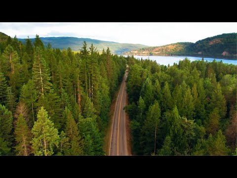 Relaxing Music for Stress Relief: Find Calm and Peace in Nature (QHD1440p)