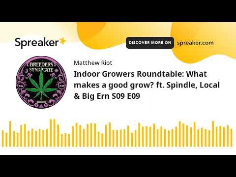 Indoor Growers Roundtable: What makes a good grow? ft. Spindle, Local & Big Ern S09 E09