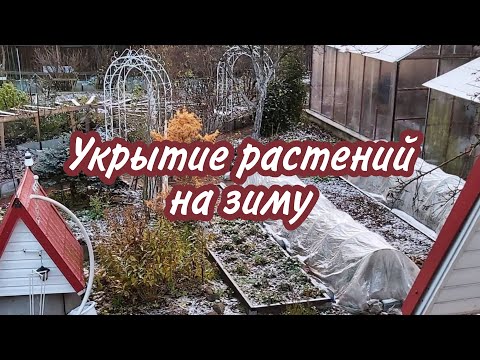 КАРКАСНЫЕ УКРЫТИЯ, ЧТО И ГДЕ МЫ СДЕЛАЛИ | УКРЫТИЕ РАСТЕНИЙ НА ЗИМУ | САД ДЛЯ ДУШИ 2021