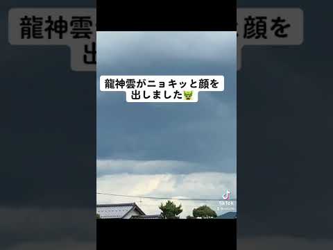 空には何時も何者かが潜んでいる🐉#shorts #short #雲#龍神#龍神雲