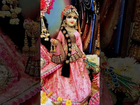 मीठे रस से भयोरी राधा रानी लागे#shortvideo #youtubeshorts #radhakrishna