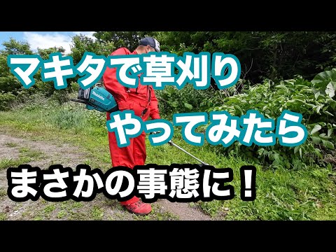 2024年6月17日　マキタで草刈りしてみたらまさかの事態に　ヘッジトリマ40V