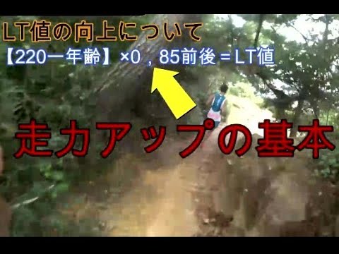 【走力アップ方法】LT値の向上について、持久力をつける/長距離が速くなるフルマラソンが速くなる/サブスリーしたい方/体力アップロードランナー、トレイルランナー不問の内容です。