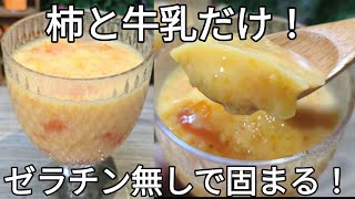 【柿プリン】柿と牛乳だけ！ゼラチン無しでプルンと固まる！SNSで話題のやさしい甘さの簡単デザート！