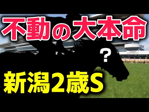 新潟2歳Sの不動の大本命とは。。。