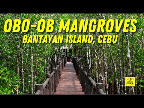 MANGROVE ECO PARK | CAMP SAWI | BANTAYAN ISLAND CEBU | WHEN IM BORED I WALK