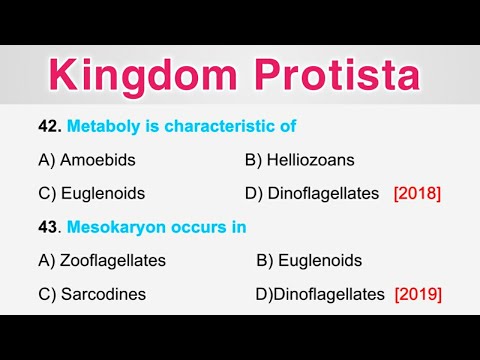 Animal Kingdom MCQ || Kingdom Protista MCQ  For NEET 2023