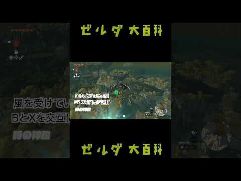 ティアーズオブザキングダム 滑空速度上昇テクニック #thelegendofzeldatearsofthekingdom #ゼルダの伝説ティアーズオブザキングダム