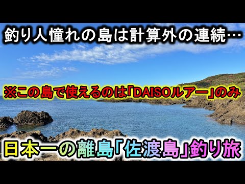 ダイソールアーだけで日本一の離島「佐渡島」を釣り歩く…驚異の魚影と計算外の連続で楽しすぎた