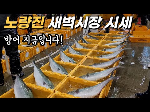 Noryangjin Fish Market Market Price(Korean fish market)