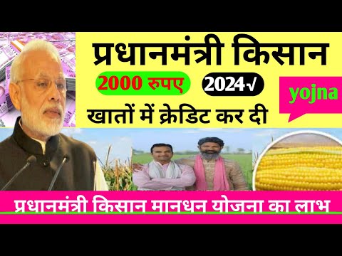 PM Kisan Samman Nidhi 18th Kisht: पीएम किसान योजना का पैसा नहीं आया तो ये काम करें | Farmer | BJP