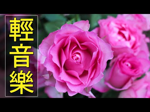 【非常好听】🎷🎷週末聽50首最好的老音樂 🌺早上最適合聽的輕音樂 🎵 每天調心洗滌心性 - 薩克斯風 - 無廣告音樂  - 轻音乐 - 探戈老歌 Old Taiwanese Music