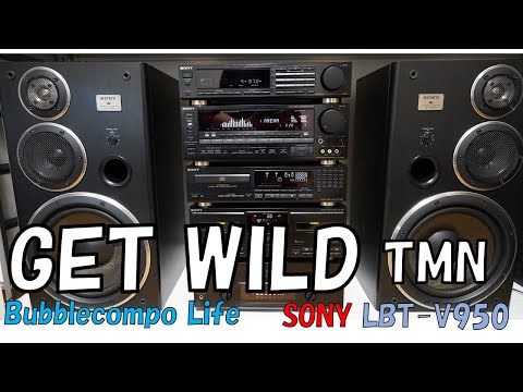 バブコン　SONY　Liberty 　LBT-V950　「GET WILD」「TMN」　てっぺんリバティ  バブコンライフ