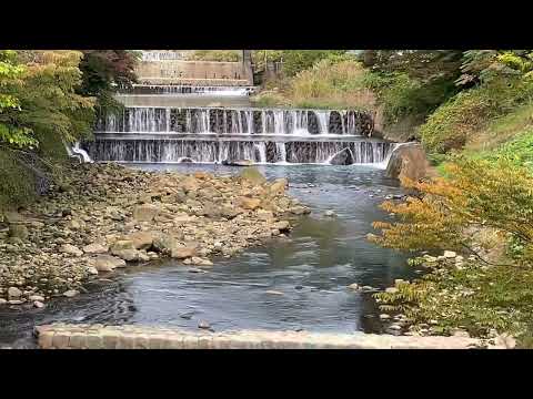 Asante Inn - Hakone, Japan