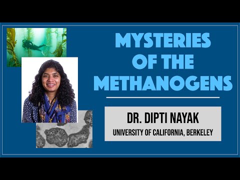 Dipti Nayak (UC Berkeley) 2: Mysteries of the Methanogens