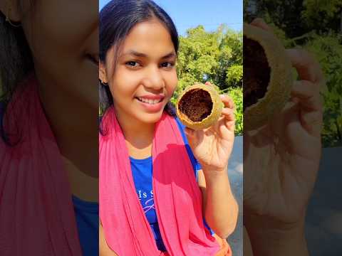 Experiment with wood apple #shorts #youtubeshorts #shortsvideo