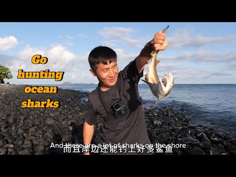 Go hunting ocean sharks #food #tool #water #beginners #best #simple