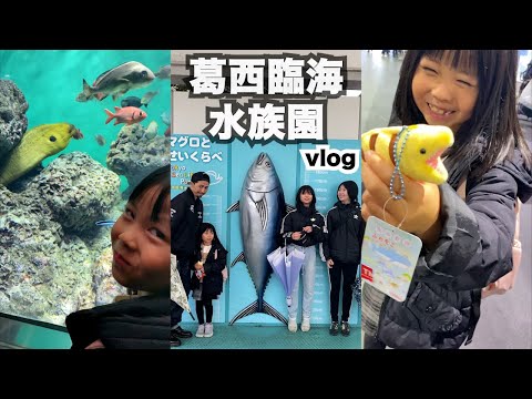 【Vlog】家族で葛西臨海水族園に行ってきました！東京観光スポット