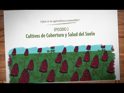 ¿Qué es la agricultura sostenible? Episodio 2: Cultivos de Cobertura y Salud del Suelo