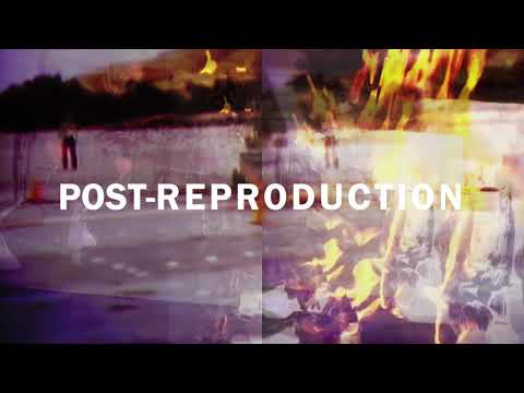 A.G : POST-REPRODUCTION (2021)